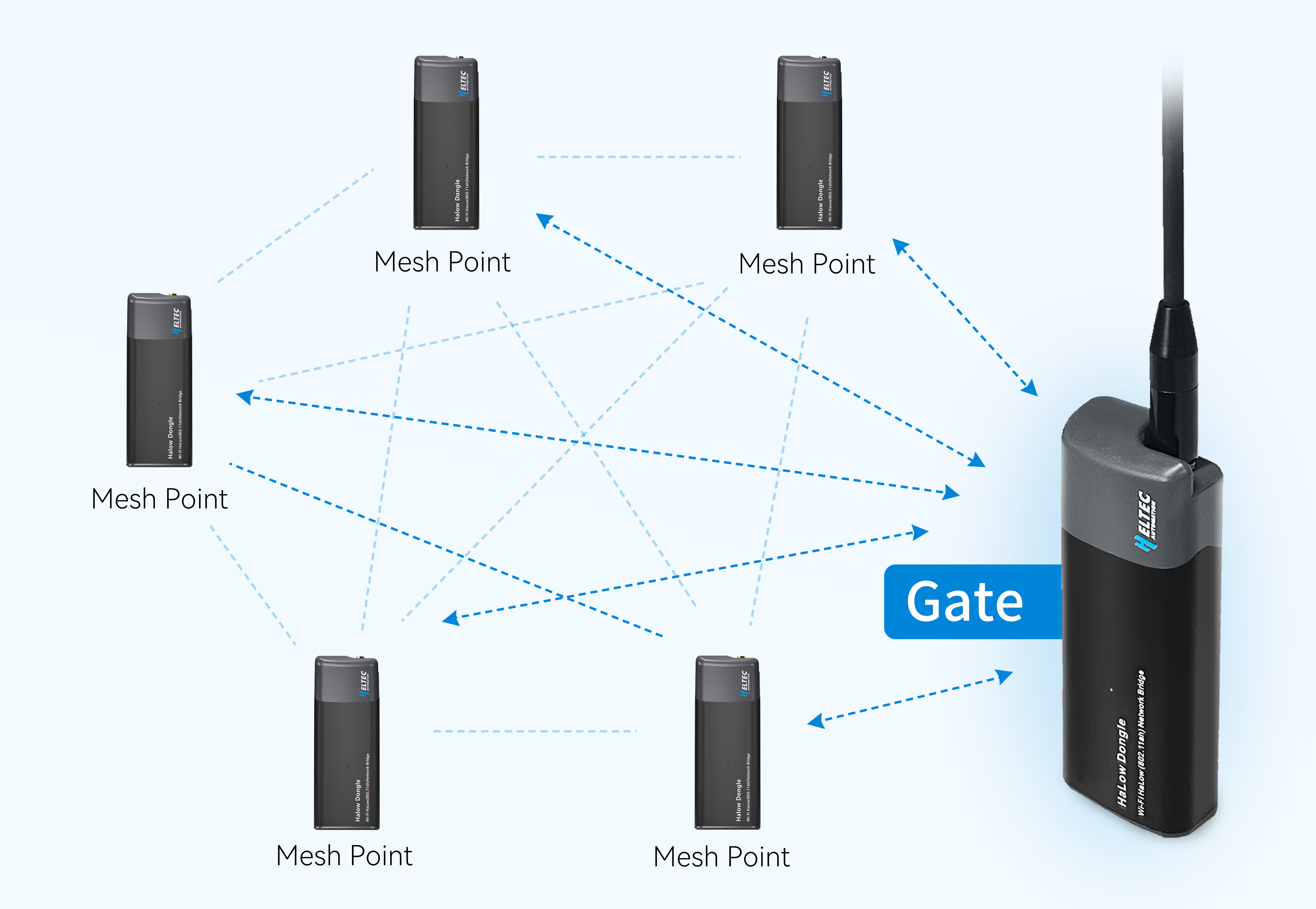 Mesh Networking