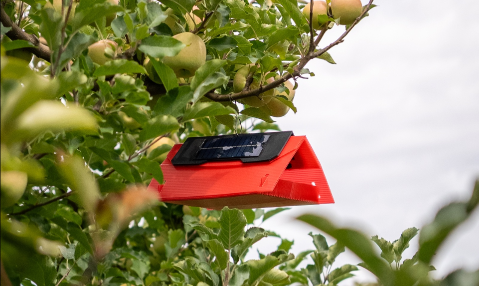 Into the Orchard: Real-World Long-Range Wi-Fi HaLow Testing